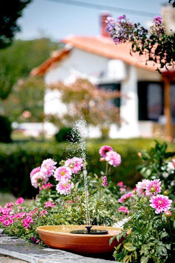 Villa Casa Alegria à Olympiada Extérieur photo